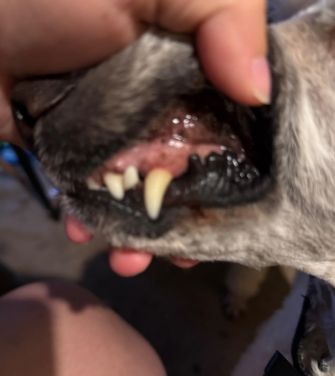 Screenshot - 2026-02-25T180925.777